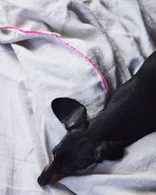 Linen Duvet  Soft Grey with Neon Pink Piping